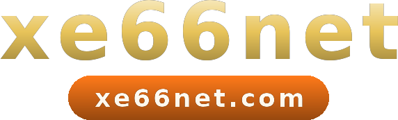 xe66net logo